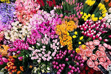 《永劫无间》职业联赛NBPL今日开赛！